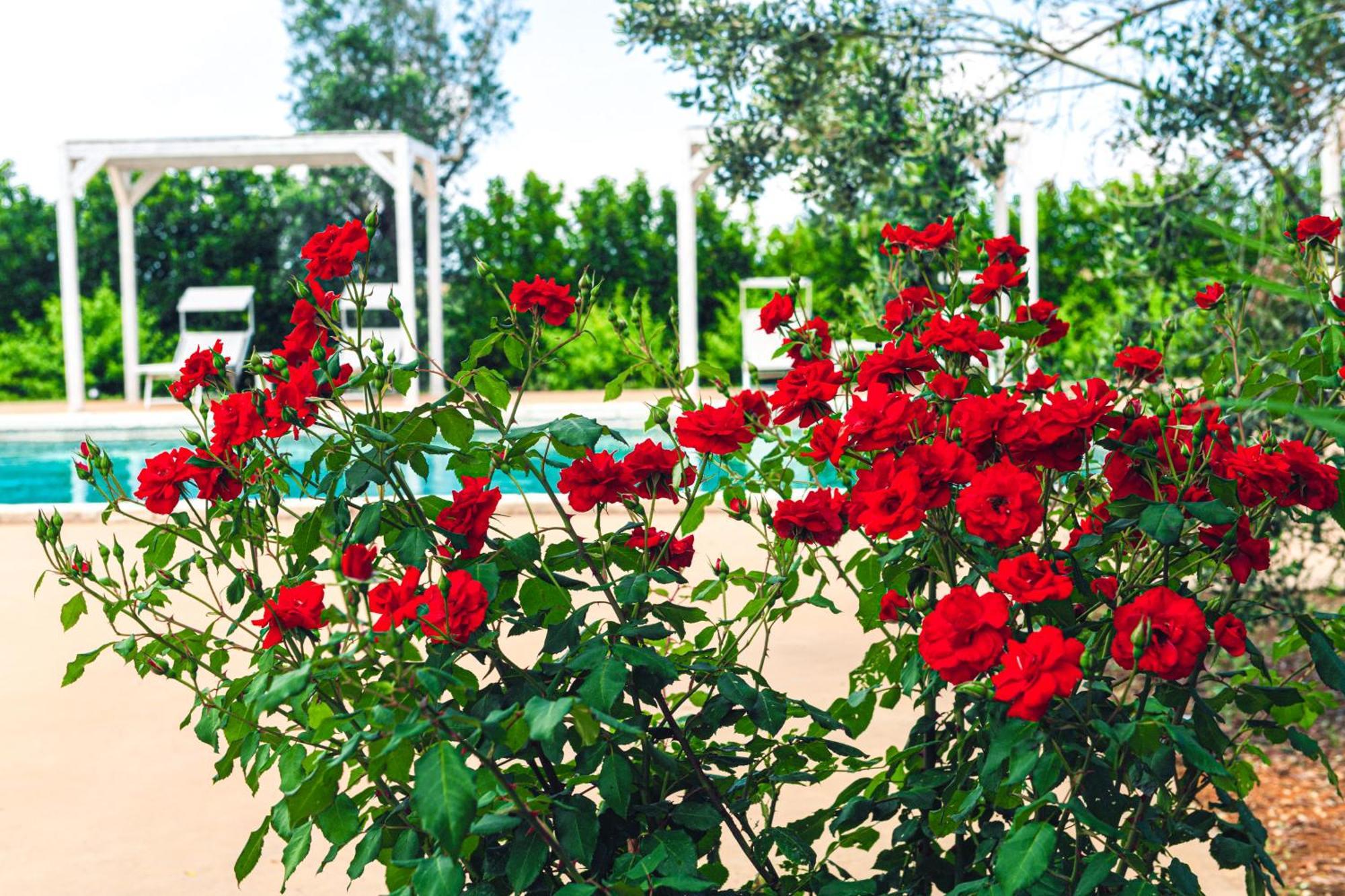 Tenuta Afra Squinzano ภายนอก รูปภาพ