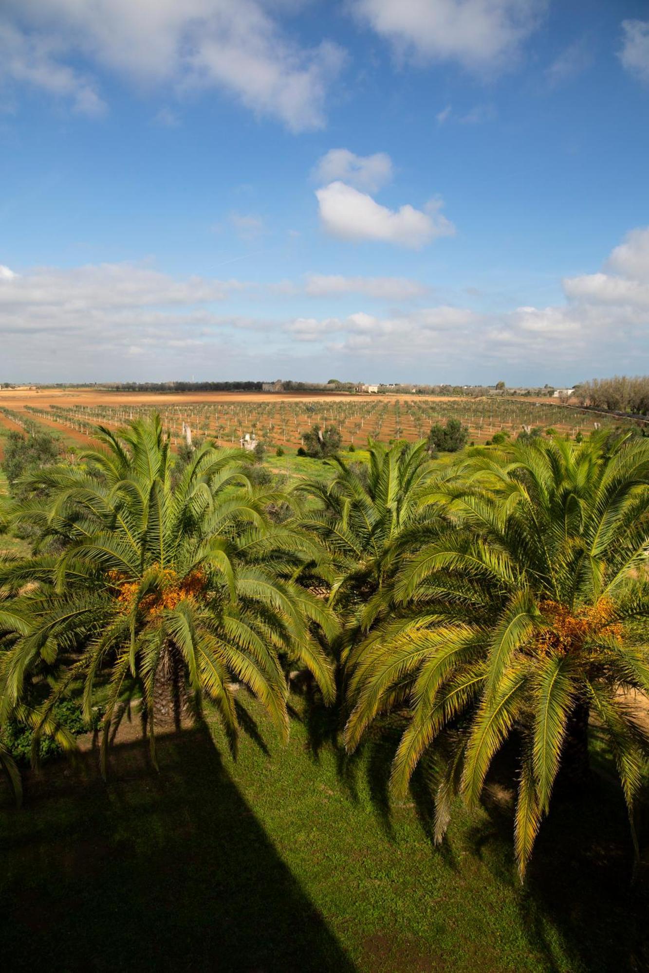 Tenuta Afra Squinzano ภายนอก รูปภาพ